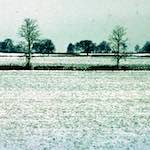 image: Image from the photoset &lsquo;damage (cccxvi)&rsquo;.