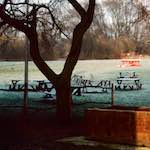 image: Image from the photoset &lsquo;damage (cccxvi)&rsquo;.