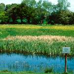 image: Image from the photoset &lsquo;damage (cccxvi)&rsquo;.