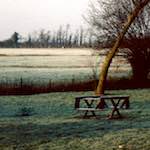 image: Image from the photoset &lsquo;damage (cccxvi)&rsquo;.