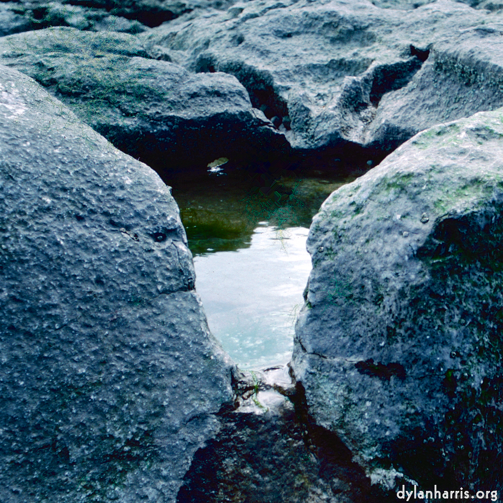 image: This is &lsquo;damage (cccxvii) 3&rsquo;.