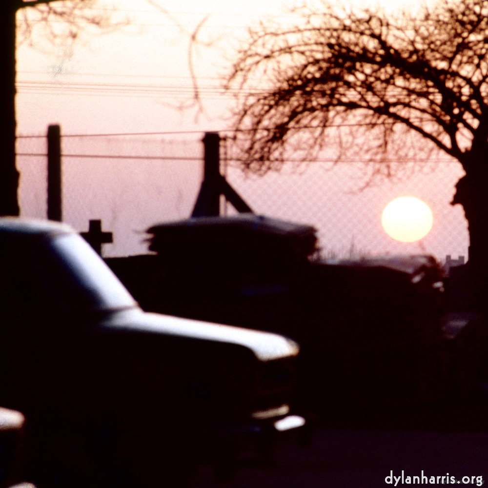 image: This is &lsquo;damage (cccxvii) 7&rsquo;.