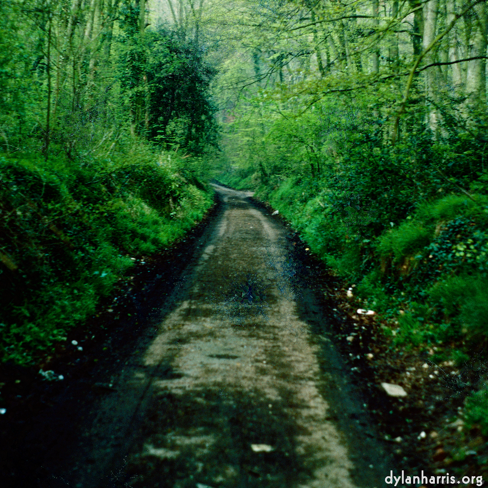 image: This is &lsquo;damage (cccxvii) 9&rsquo;.