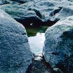 image: Image from the photoset &lsquo;damage (cccxvii)&rsquo;.