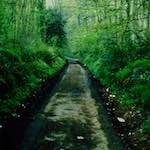 image: Image from the photoset &lsquo;damage (cccxvii)&rsquo;.