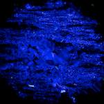 image: Image from the photoset &lsquo;damage (cccxix)&rsquo;.