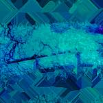 image: Image from the photoset &lsquo;damage (cccxix)&rsquo;.