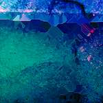 image: Image from the photoset &lsquo;damage (cccxxii)&rsquo;.