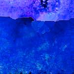 image: Image from the photoset &lsquo;damage (cccxxii)&rsquo;.