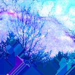 image: Image from the photoset &lsquo;damage (cccxxiv)&rsquo;.