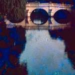 image: Image from the photoset &lsquo;damage (ccxxxvi)&rsquo;.