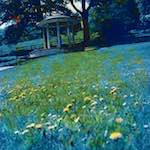 image: damage (ccxxxvi) photoset