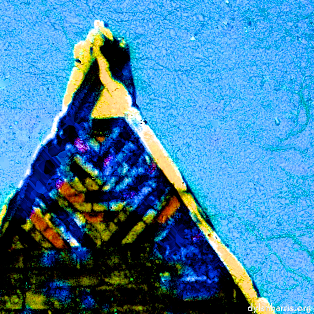 image: This is &lsquo;damage (ccxxxvii) 8&rsquo;.