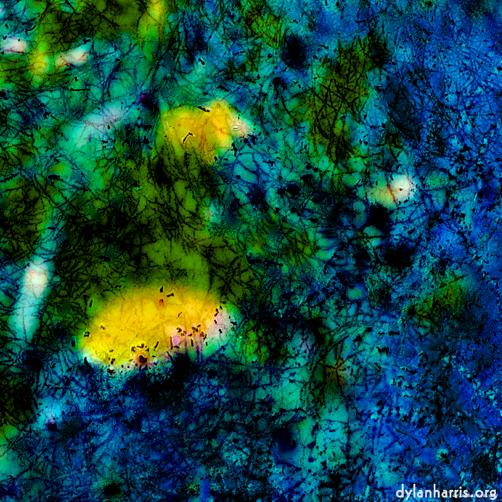 image: This is &lsquo;damage (ccxxxix) 7&rsquo;.