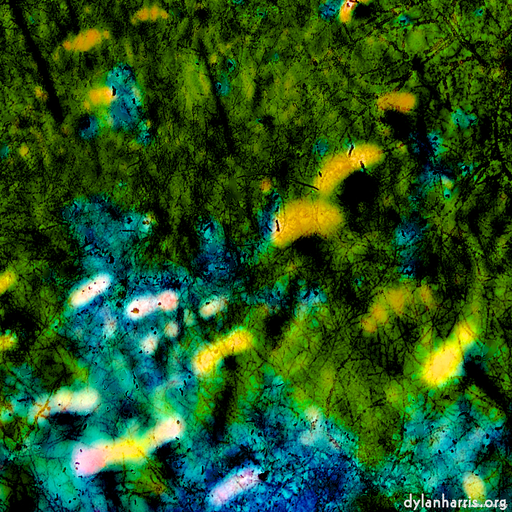 image: This is &lsquo;damage (ccxxxix) 9&rsquo;.