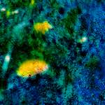 image: Image from the photoset &lsquo;damage (ccxxxix)&rsquo;.