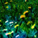 image: Image from the photoset &lsquo;damage (ccxxxix)&rsquo;.