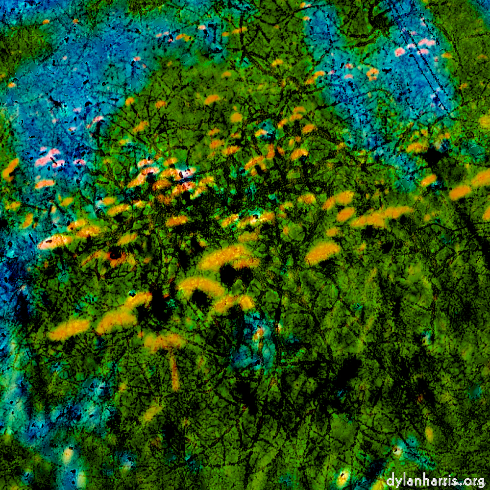 image: This is &lsquo;damage (ccxl) 1&rsquo;.