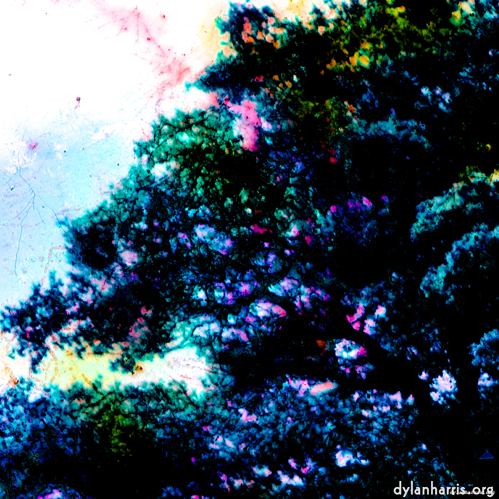 image: This is &lsquo;damage (ccxl) 2&rsquo;.