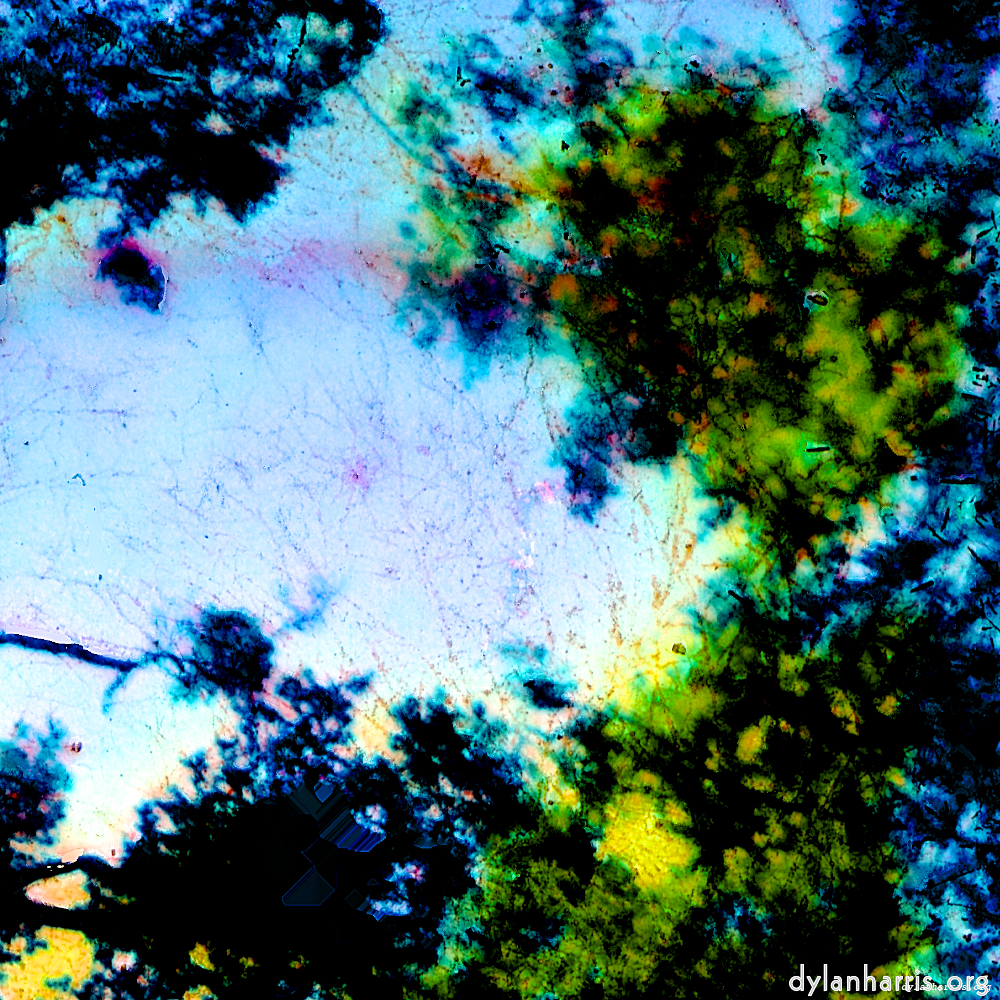 image: This is &lsquo;damage (ccxl) 3&rsquo;.