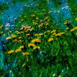 image: Image from the photoset &lsquo;damage (ccxl)&rsquo;.