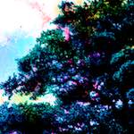 image: Image from the photoset &lsquo;damage (ccxl)&rsquo;.