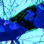 image: Image from the photoset &lsquo;damage (ccxli)&rsquo;.