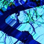 image: Image from the photoset &lsquo;damage (ccxli)&rsquo;.