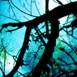 image: Image from the photoset &lsquo;damage (ccxli)&rsquo;.