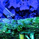 image: Image from the photoset &lsquo;damage (ccxli)&rsquo;.