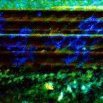 Image: Second image from the photoset 'damage (ccxlii)'.