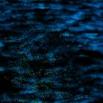 Image: Third image from the photoset 'damage (ccxlii)'.