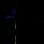 Image: Sixth image from the photoset 'damage (ccxlii)'.