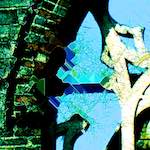 image: Image from the photoset &lsquo;damage (ccxliii)&rsquo;.