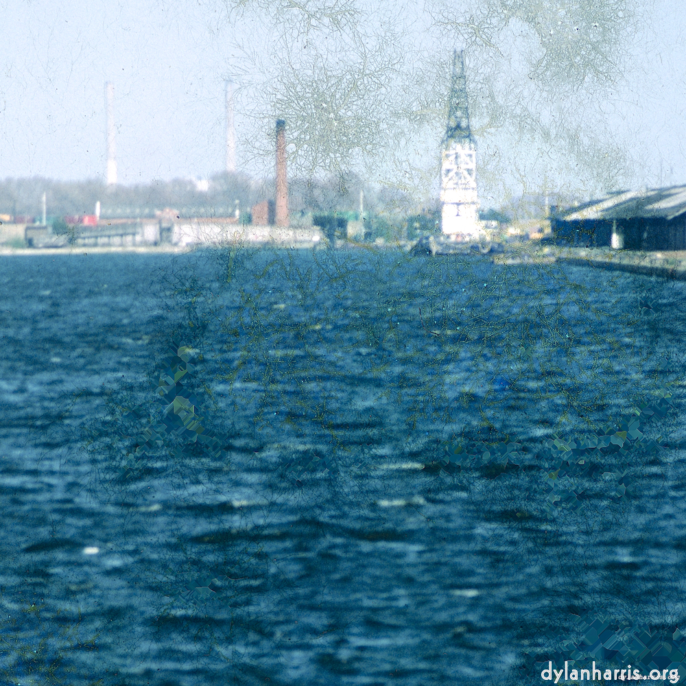 image: This is &lsquo;damage (ccxlvi) 5&rsquo;.