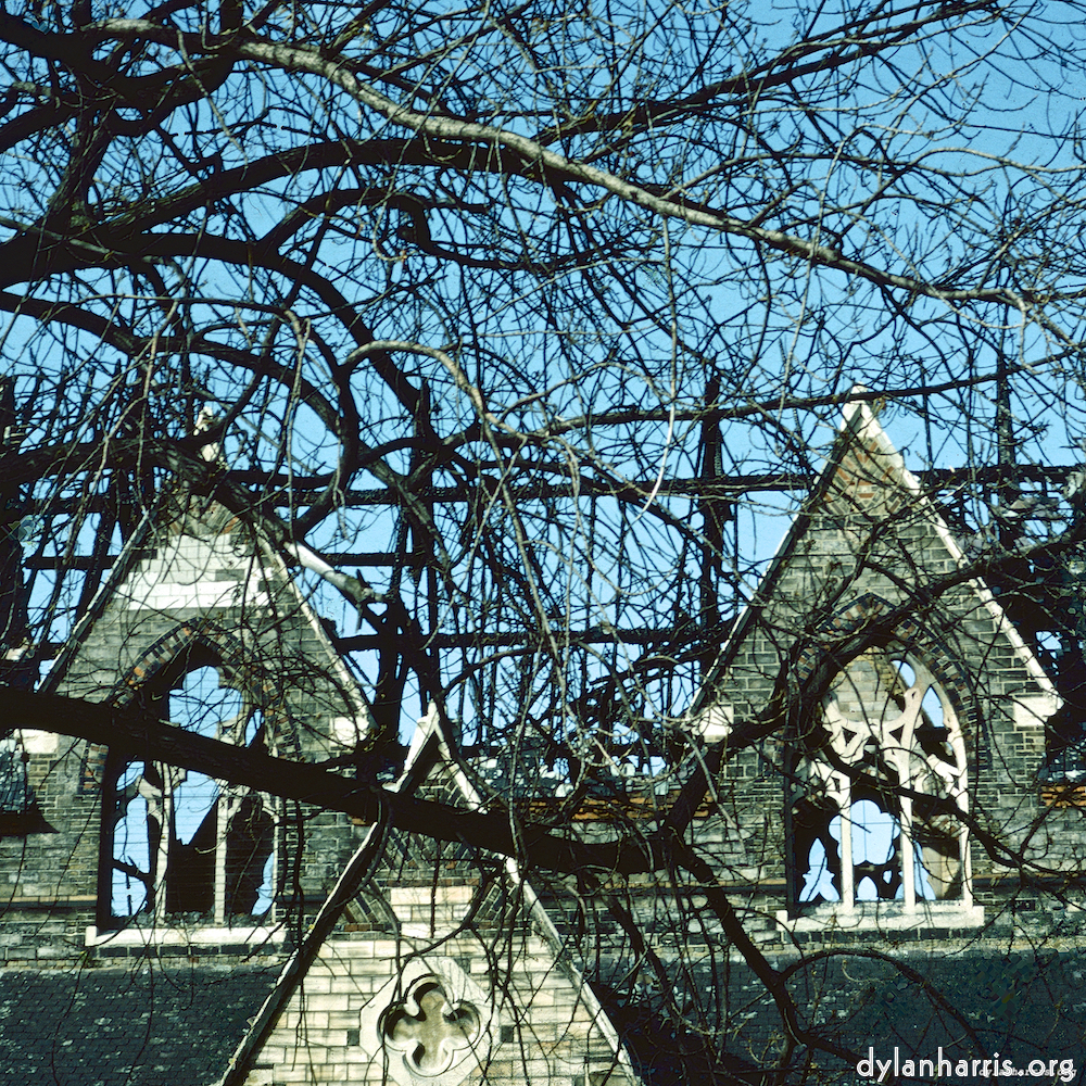 image: This is &lsquo;damage (ccxlvi) 9&rsquo;.