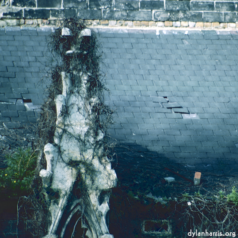 image: This is &lsquo;damage (ccxlvii) 3&rsquo;.