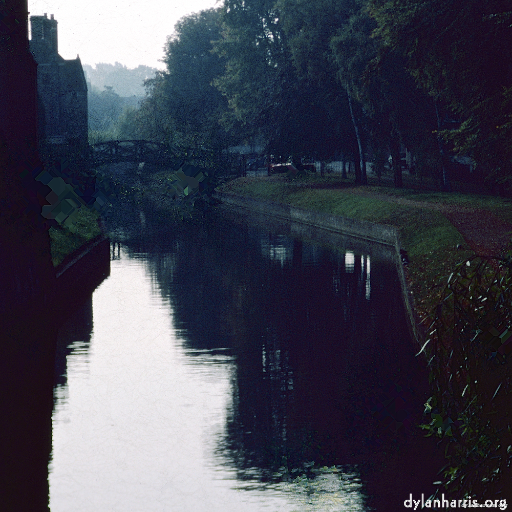 image: This is &lsquo;damage (ccxlvii) 8&rsquo;.