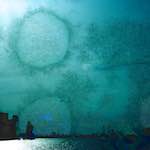 image: Image from the photoset &lsquo;damage (ccxlvii)&rsquo;.