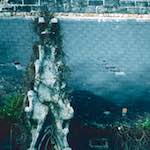 image: Image from the photoset &lsquo;damage (ccxlvii)&rsquo;.