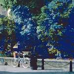 image: Image from the photoset &lsquo;damage (ccxlvii)&rsquo;.