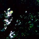 image: Image from the photoset &lsquo;damage (ccxlix)&rsquo;.