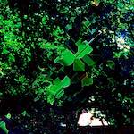 image: Image from the photoset &lsquo;damage (ccxlix)&rsquo;.