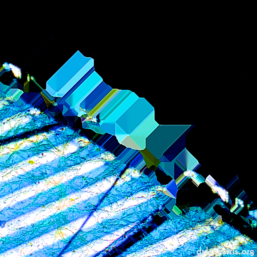 image: This is &lsquo;damage (ccl) 7&rsquo;.