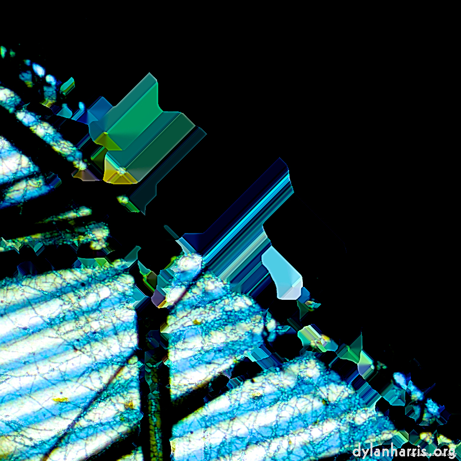 image: This is &lsquo;damage (ccl) 9&rsquo;.