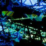 image: Image from the photoset &lsquo;damage (ccl)&rsquo;.