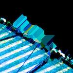 image: Image from the photoset &lsquo;damage (ccl)&rsquo;.