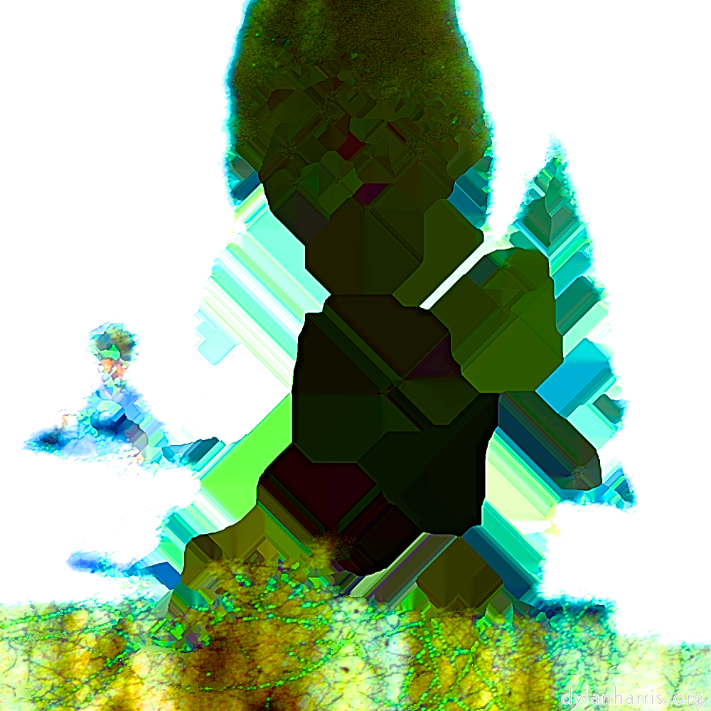 image: This is &lsquo;damage (ccli) 1&rsquo;.