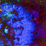 image: Image from the photoset &lsquo;damage (ccli)&rsquo;.