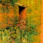 image: Image from the photoset &lsquo;damage (ccli)&rsquo;.